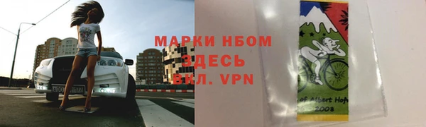 стафф Покачи