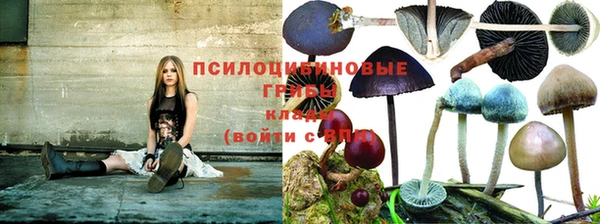 MDMA Покров