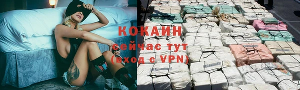 дурь Тайга