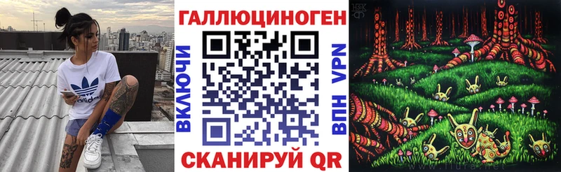 ОМГ ОМГ зеркало  Александров  Псилоцибиновые грибы Psilocybine cubensis 
