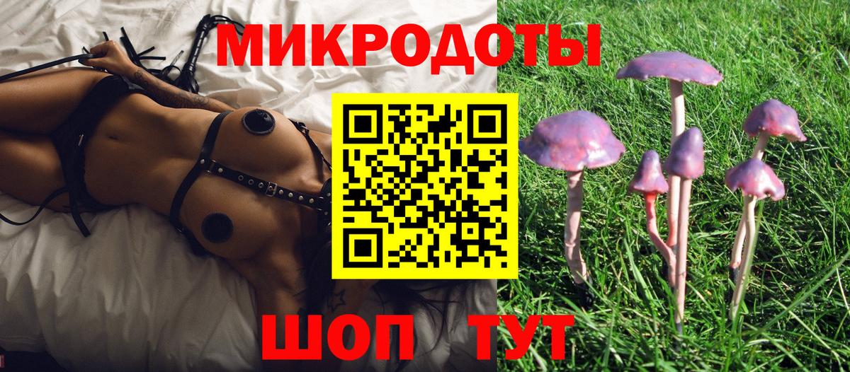 Псилоцибиновые грибы мухоморы Александров