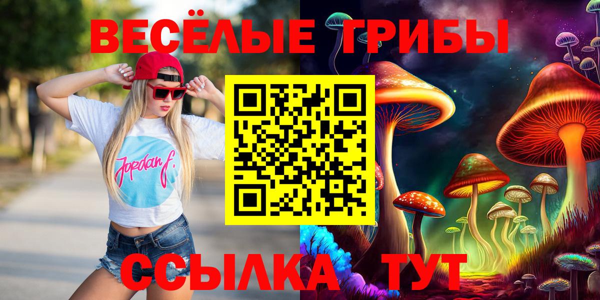 Псилоцибиновые грибы мицелий Александров