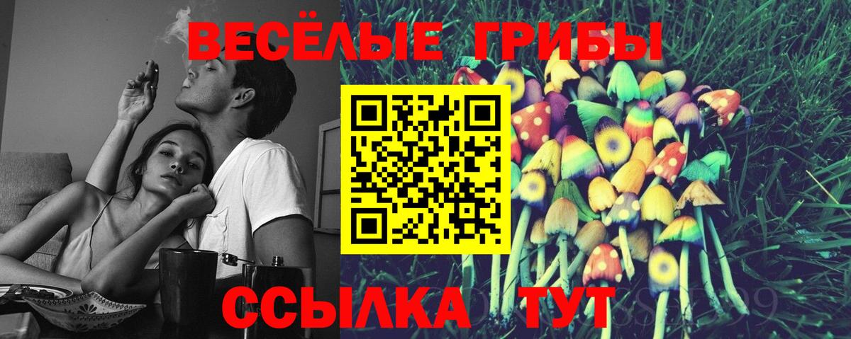 Галлюциногенные грибы GOLDEN TEACHER  что такое наркотик  Александров  Вход с VPN 