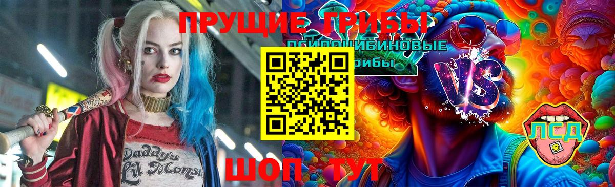 Псилоцибиновые грибы Psilocybe Александров