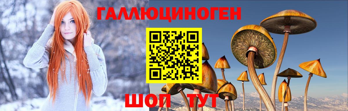 Александров  Псилоцибиновые грибы Cubensis  Вход с VPN  Псилоцибиновые грибы Magic Shrooms 