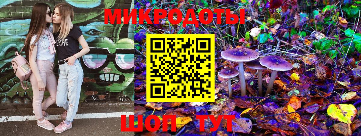 Псилоцибиновые грибы прущие грибы  Псилоцибиновые грибы MAGIC MUSHROOMS  Александров 